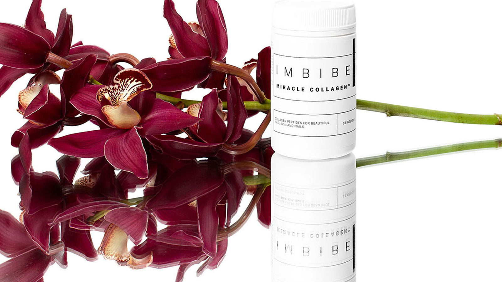 Collagen Myths - I M B I B E