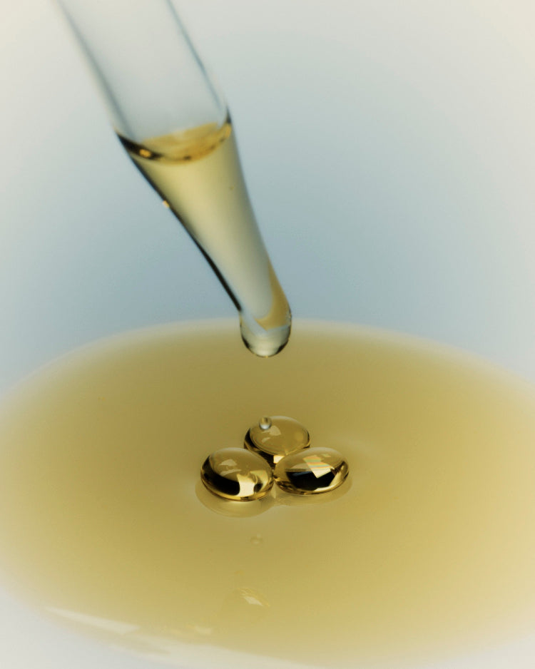 Collagen Protect - I M B I B E