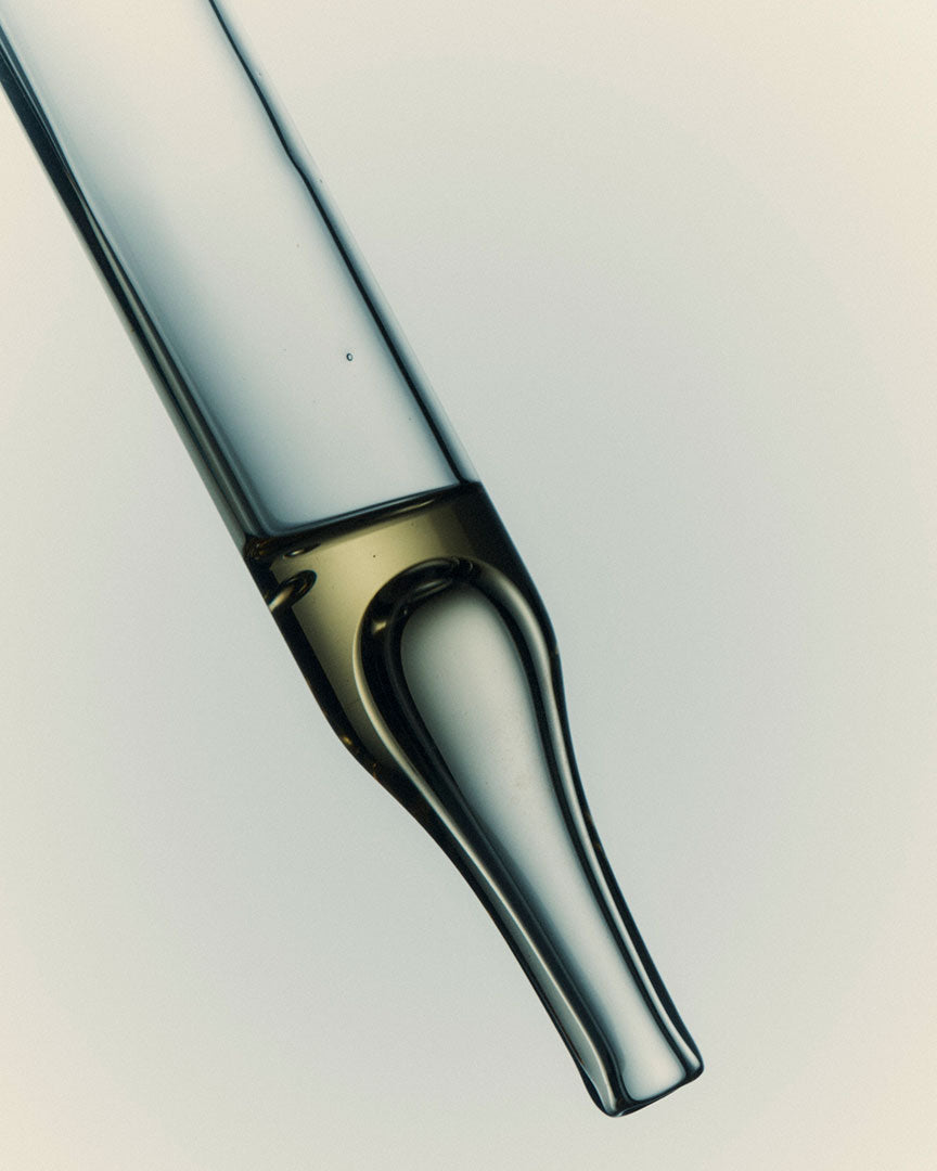 Collagen Protect - I M B I B E