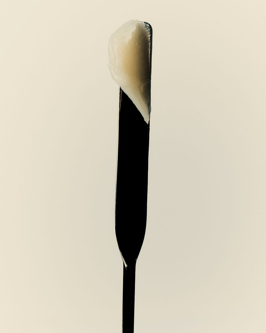 Melting Balm - I M B I B E